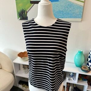 Banana Republic Navy and White Striped Tank Top
